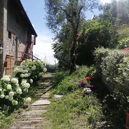 Conte Brunello Gospodarstwo agroturystyczne