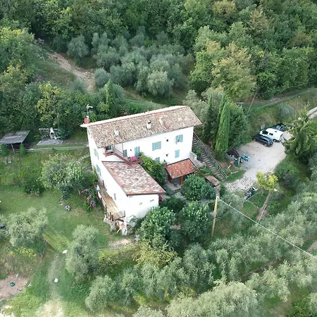 Conte Brunello Lantgård